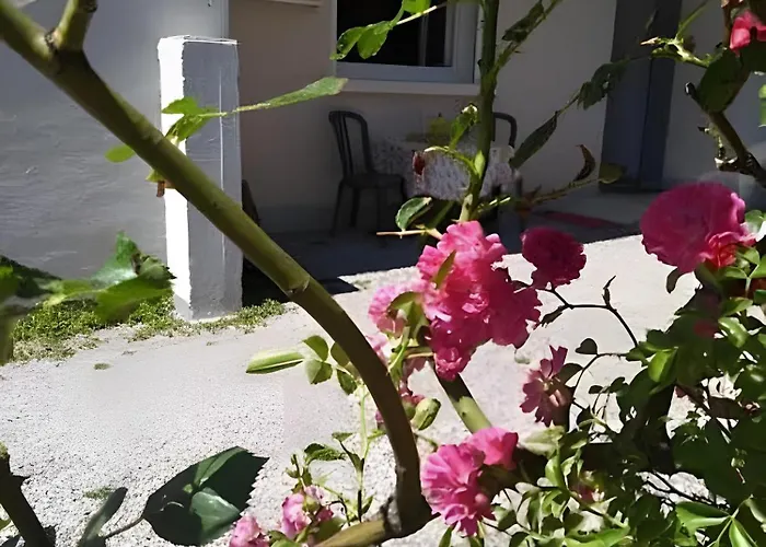 Le Cyclamens - Rodez-onet *