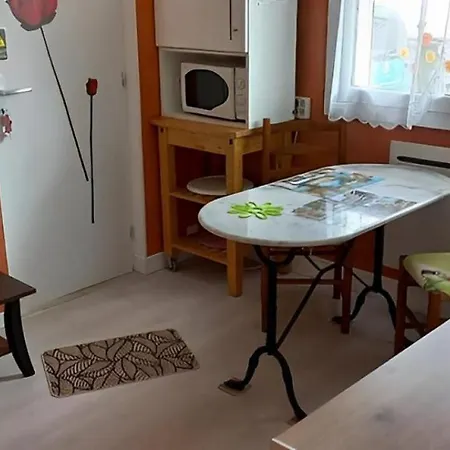 Le Cyclamens - Rodez-onet *