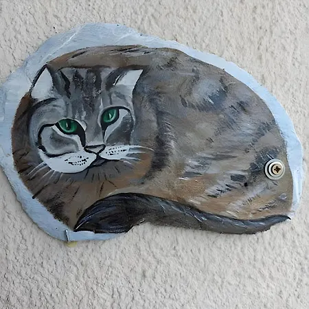 Le Cyclamens - Rodez-onet *