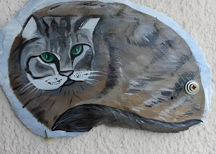 Le Cyclamens - Rodez-onet *